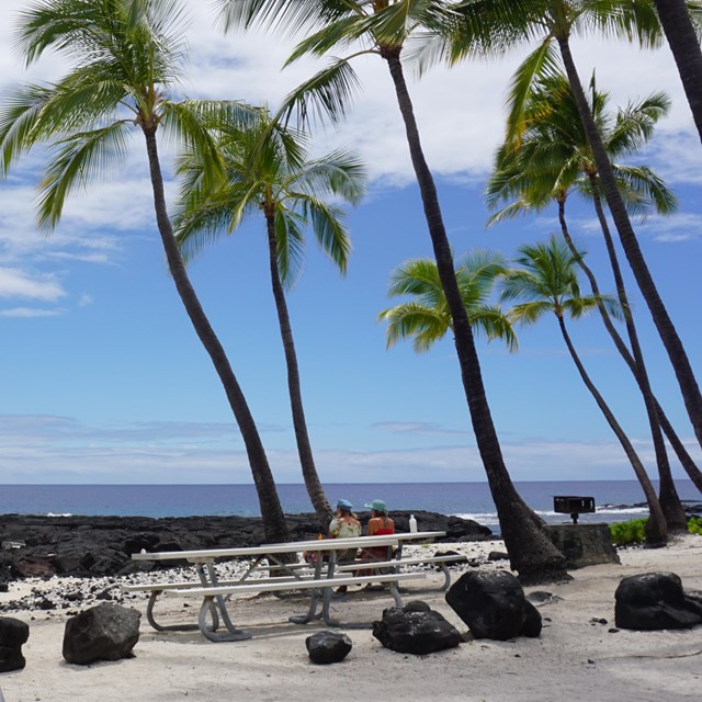 Coconut trees tower high over two visitors enjoying the view of the ocean from the picnic area