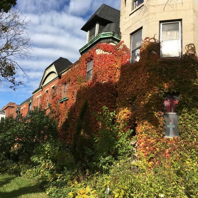 The corner of two Pullman homes meet, one stone and one brick, covered in fall colored ivy.