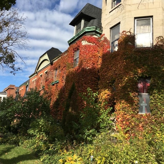 The corners of two Pullman homes meet, one brick and one stone, covered in fall colored ivy.