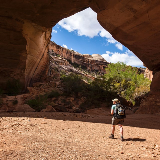 Hiker stands below sandstone bridge in Natural Bridges National Monument