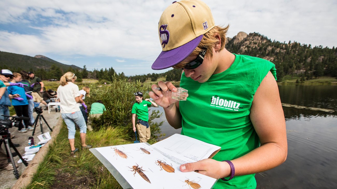A girl in green "bioblitz" tshirt and ball cap uses an identification card to identify something