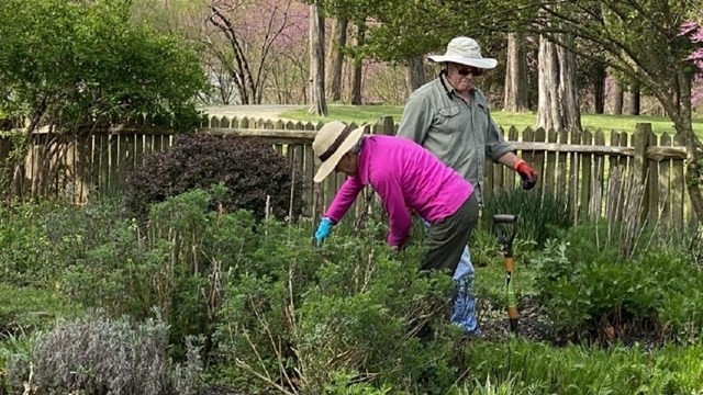 Two people work on an outdoor garden