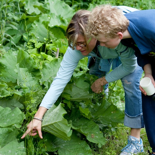 A woman points to a green plant while a boy looks at what she's pointing at