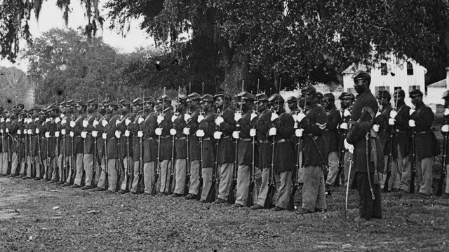 African American Civil War soldiers standing in line