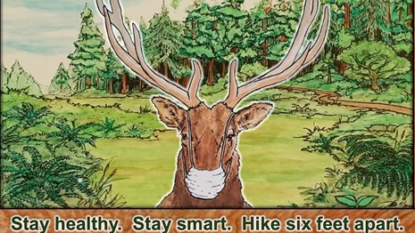 Stay Up To Date About Park Operations