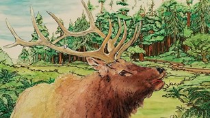 Stay Up To Date About Park Operations