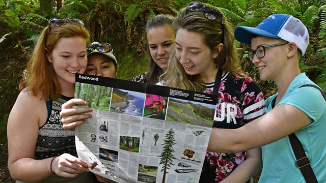Four women read a park brochure