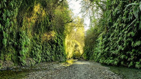 Obtain a permit to visit the Gold-Bluffs Beach Day-use Area