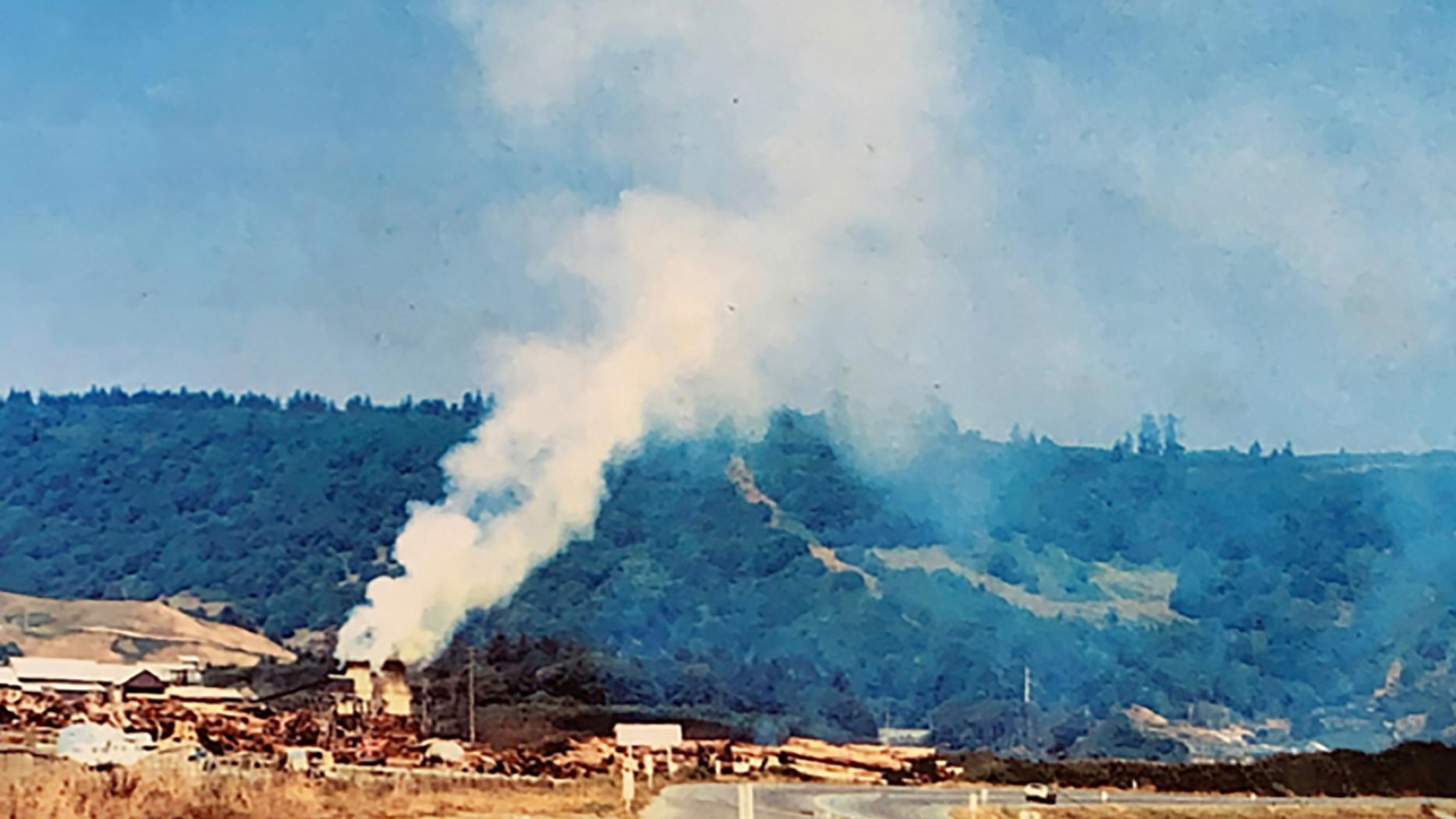 Smoke rises from a log mill on a beach in front of forested hills