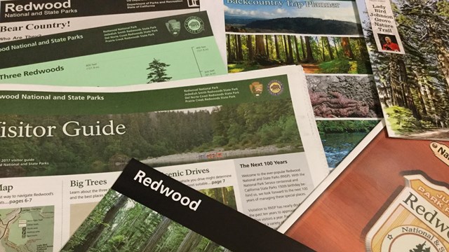 Park brochures will help with your visit.
