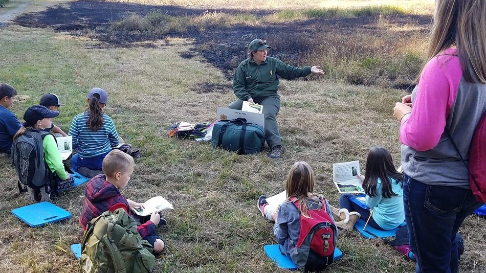 It Is Easy To Virtually Experience The Redwoods!