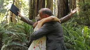 Weddings, fun-runs and commercial filming are just a few activities that need permits.