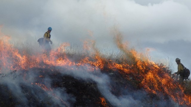 Find out current conditions, and fire operations.