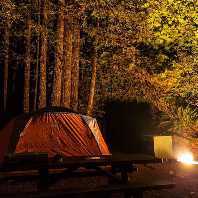 Outside the Parks are plenty of lodges and other accommodations.