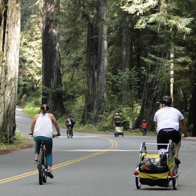 Many places are bike friendly.