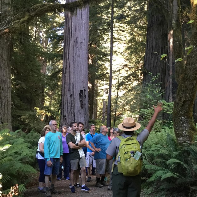 Each day, many different educational and interpretive programs are offered.