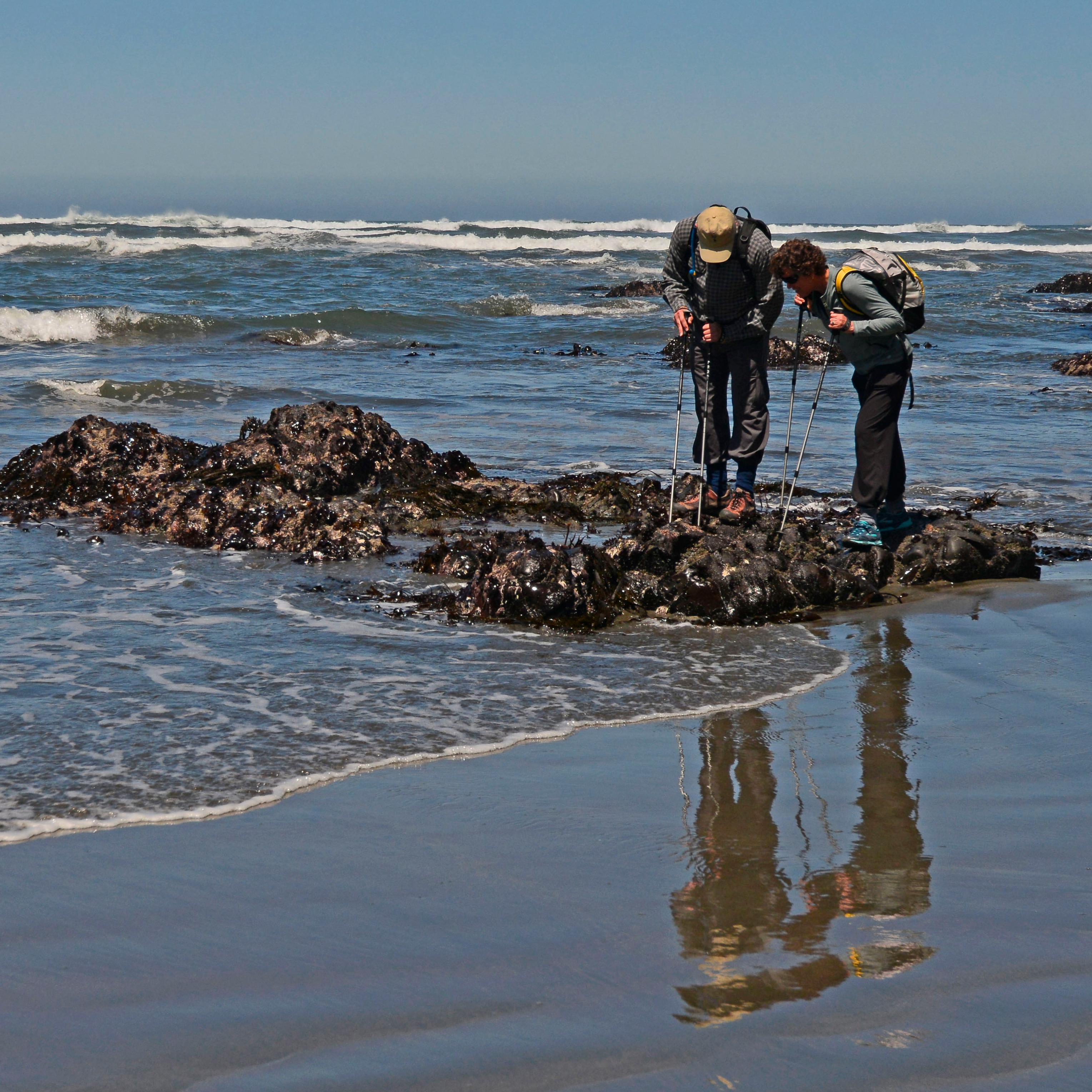 We have hiking, fishing, rafting, tide-pooling, whale watching...and redwoods of course.
