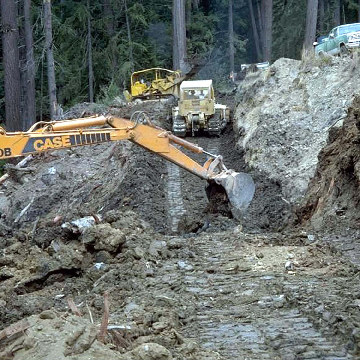Hundreds of miles of old logging roads cut across the parks