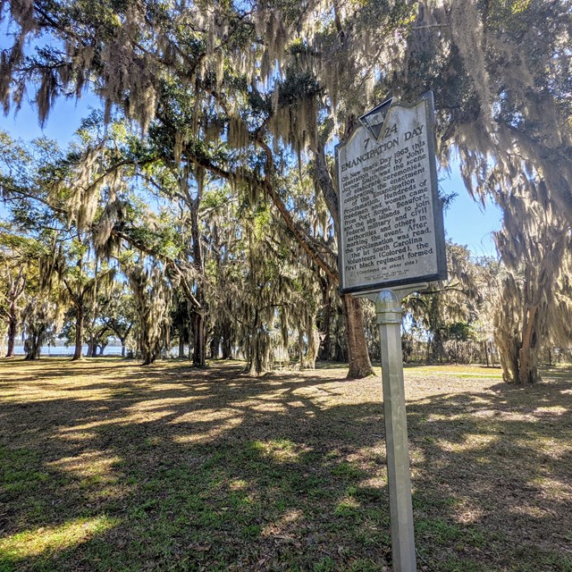 Emancipation Day historical marker under a grove of live oak trees.