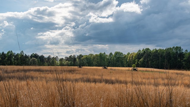 A large, open meadow with a line of cannon in the distance.