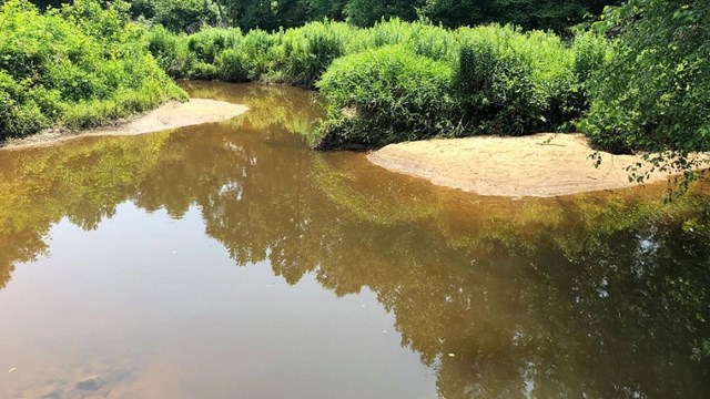 A circular swamp with sandy banks and vegetation