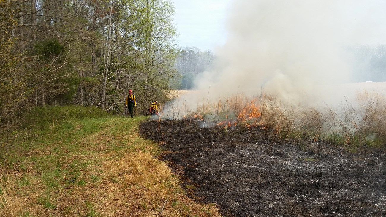 Grass on fire on the edge of a field with two National Park Service firefighters.