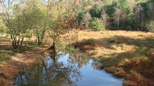 A creek surrounded by wetlands during fall.