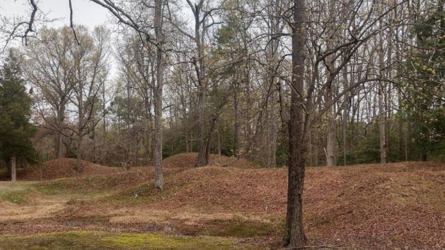 A connected line of mounds of dirt formed during the Civil War.