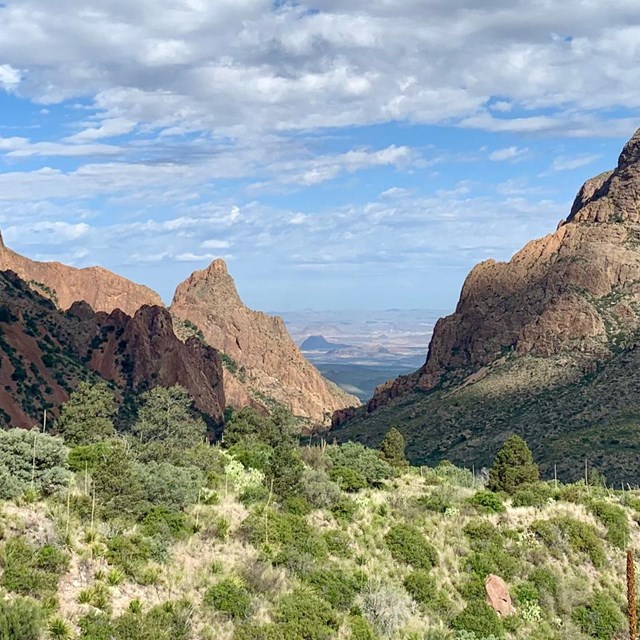 Closeup of colorful pages in the Big Bend visitor guide.