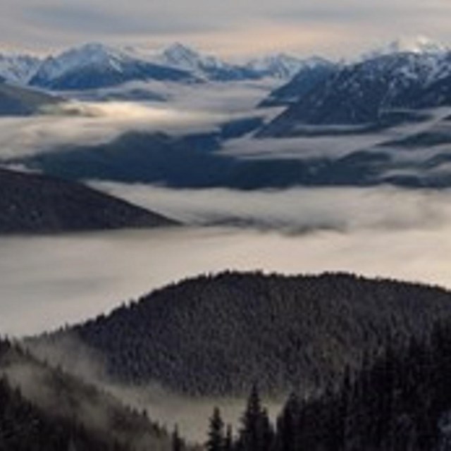 Fog in the mountains