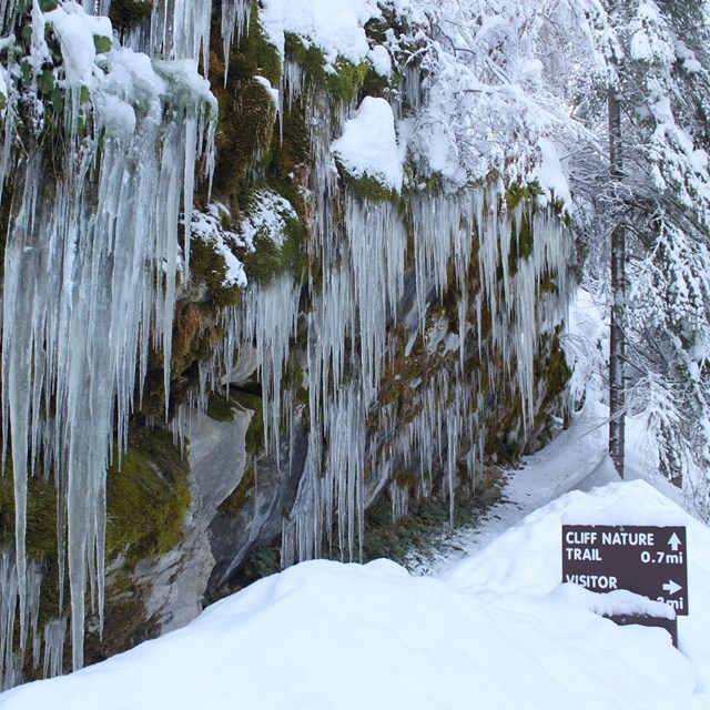 Icicles at the entrance