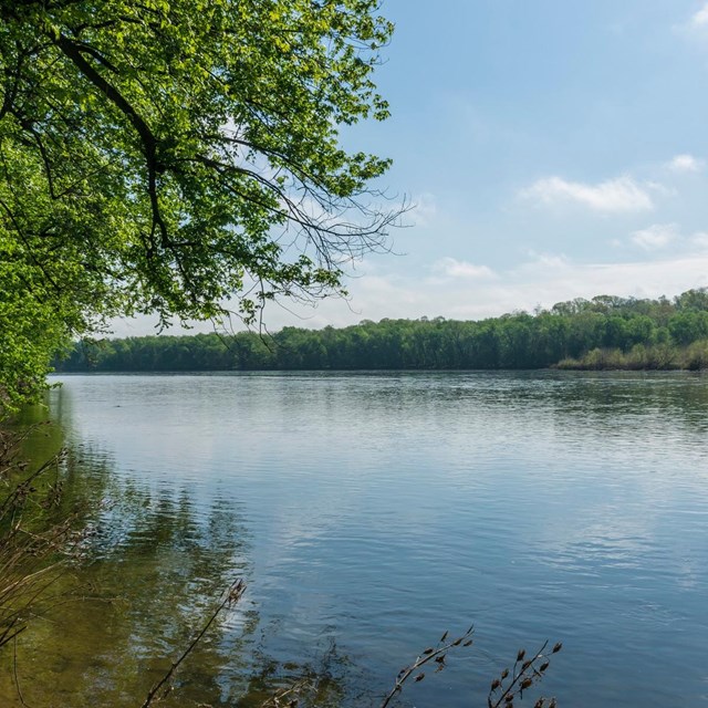 The Potomac River glides gracefully under a bright sun.