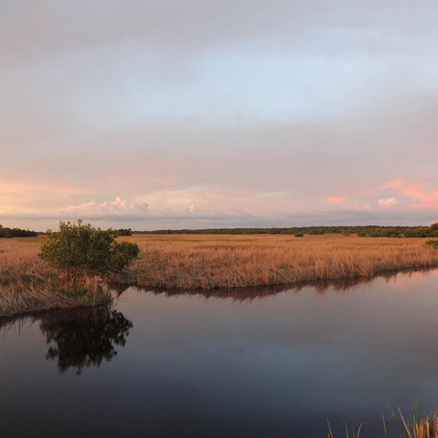 Sunset over the preserve, Big Cypress National Preserve, 2015.