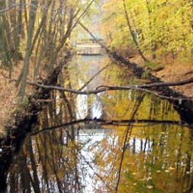 Blackstone canal in the fall