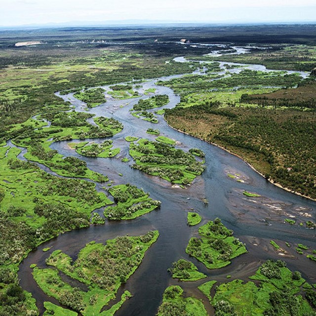 Braided stream flowing through Alaska wilderness