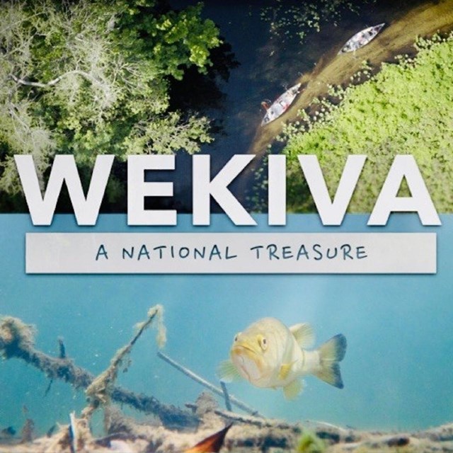 Two images with title text. Top: Two canoes paddle through tropical river, bottom: fish underwater