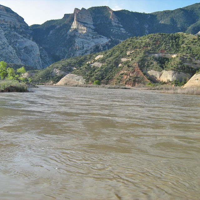 Below Big Island camp during high flows of 2008