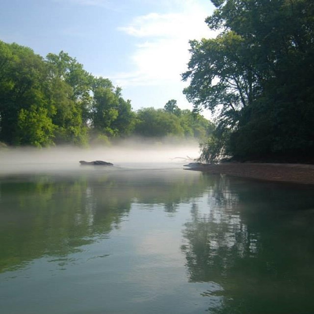 Foggy creek, Chattahoochee River National Recreation Area, 2015.