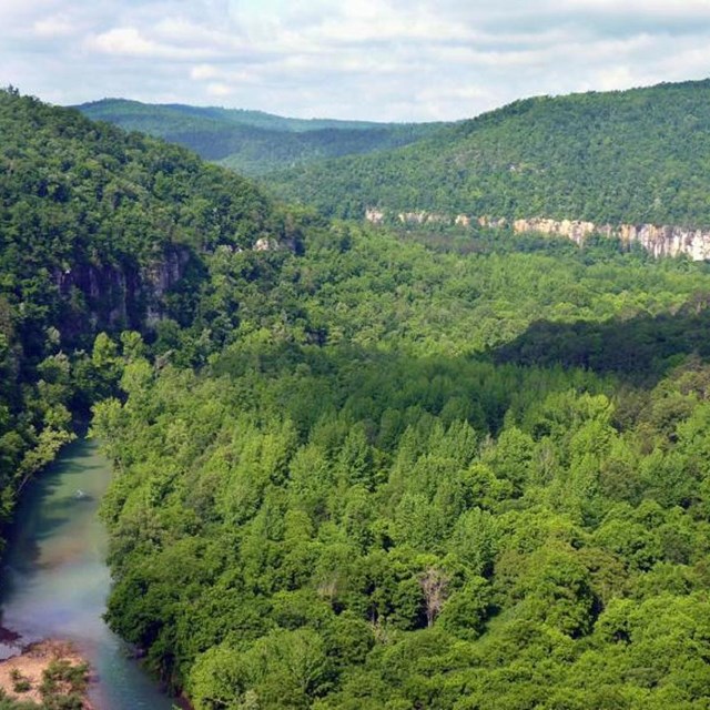 An upper portion of the Buffalo River with Big Bluff in the background.