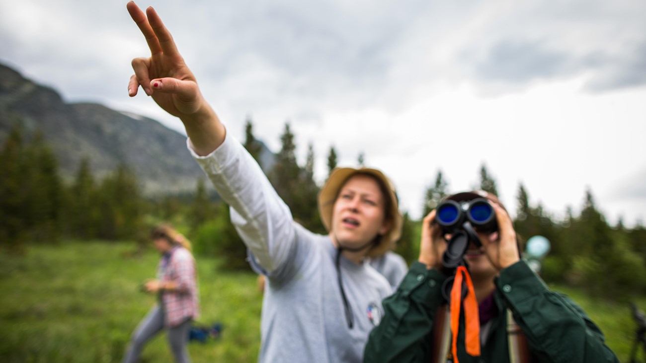 Two community scientists use binoculars to search for birds. 