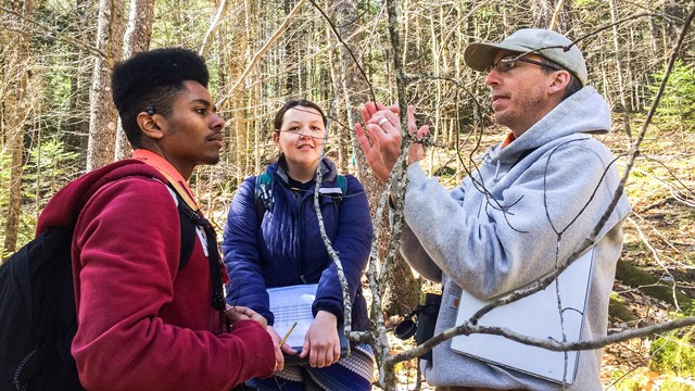 A teacher demonstrates a principle of biology using a tree branch to two students