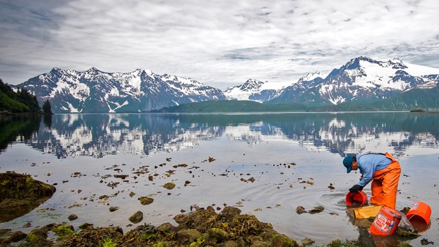 A person in waterproof gear looks into coastal waters with snowy mountains behind/