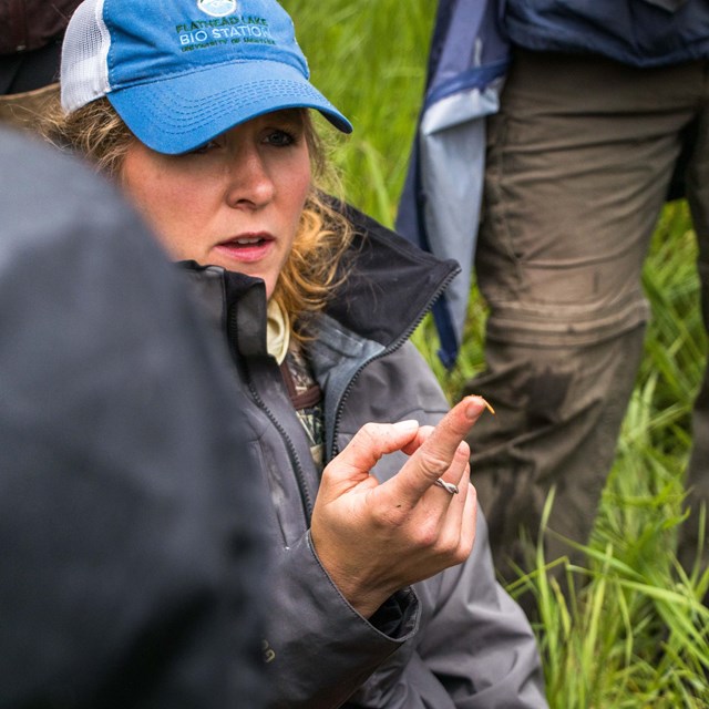 A researcher describes a specimen on a fieldtrip in Glacier National Park.