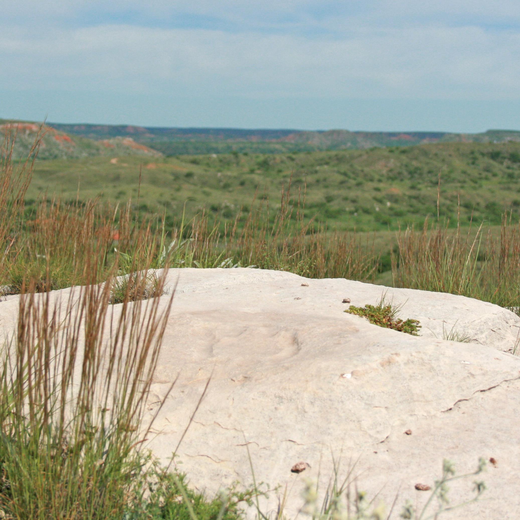 grass and rock overlooking distant hills