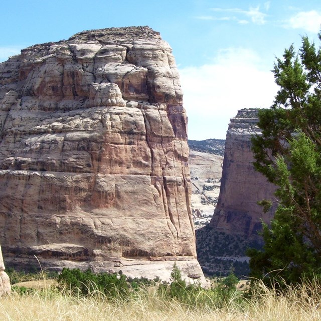 rock outcropping in desert