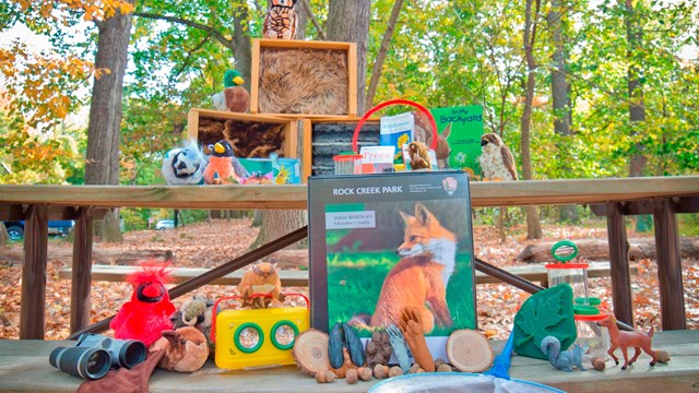 The Urban Wildlife Kit spread out on a picnic table