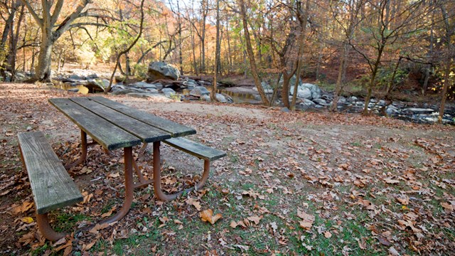 A picnic table surrounded by dead leaves