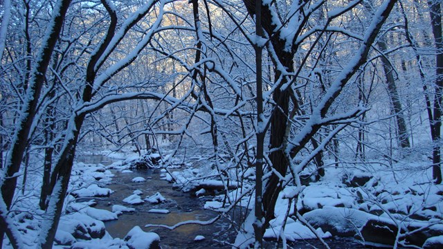 bare trees covered in snow surround a creek with snowy banks