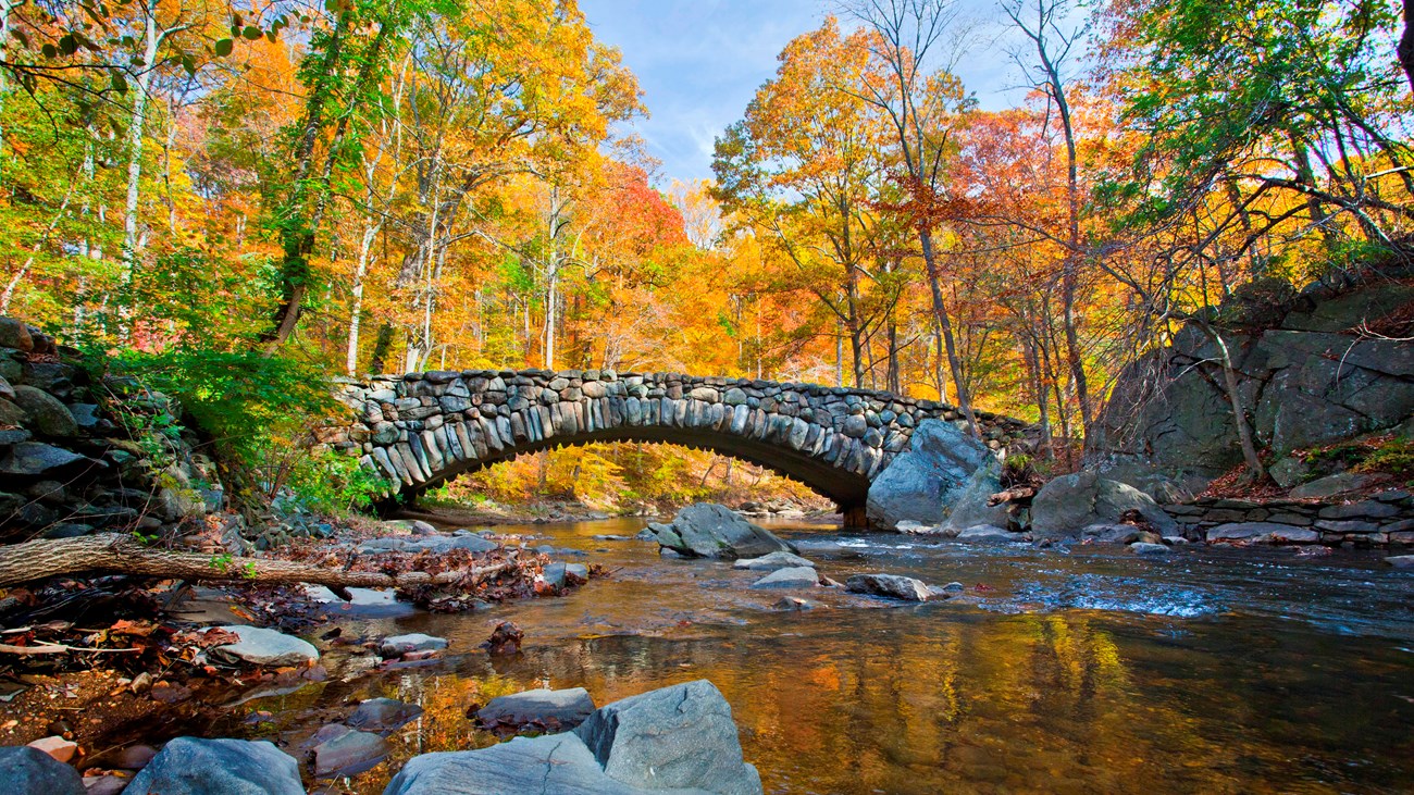 a bridge made of boulders arches over a creek; trees with fall hues are all around