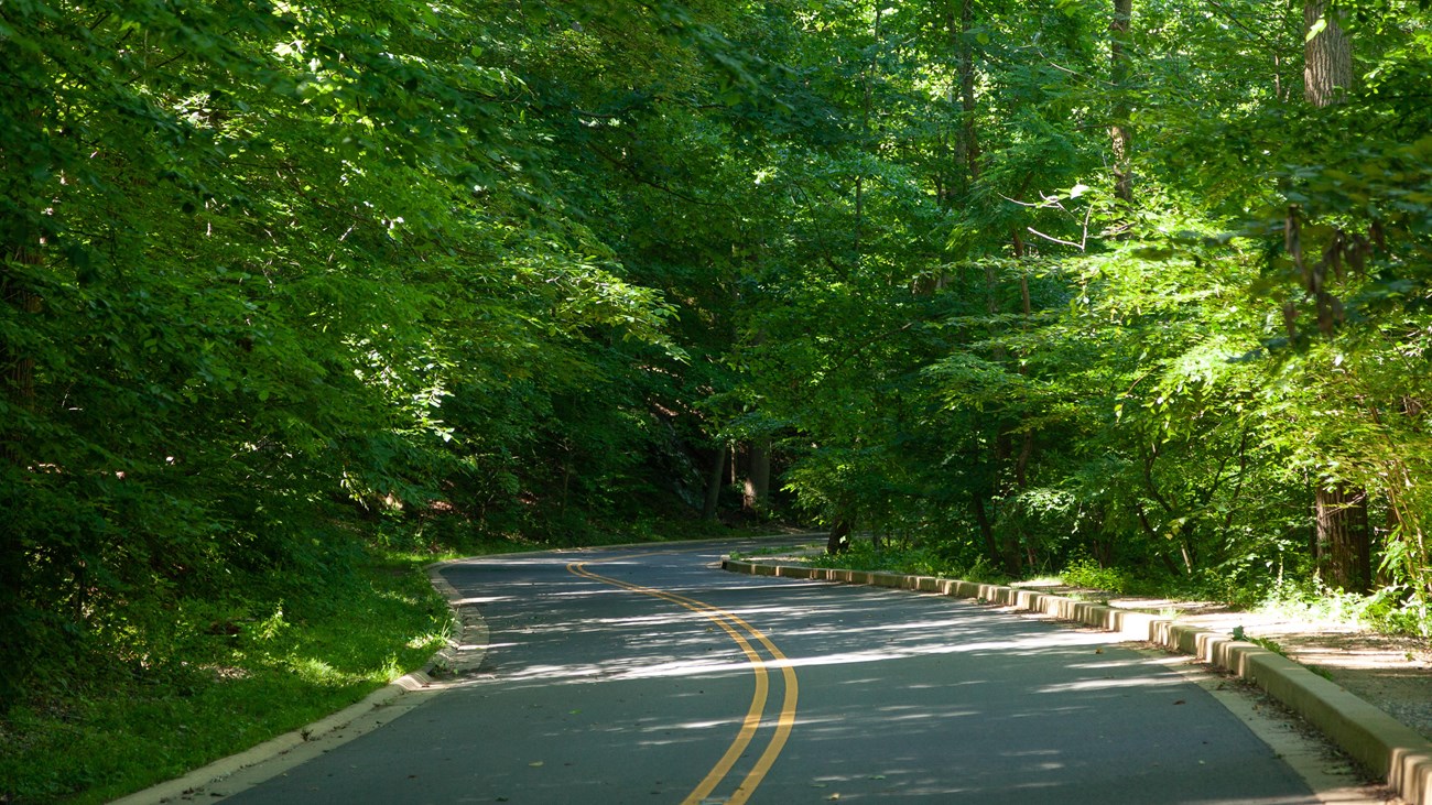 a 2-lane road through a forested area